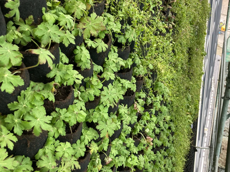 Mercure Hotel Katowice