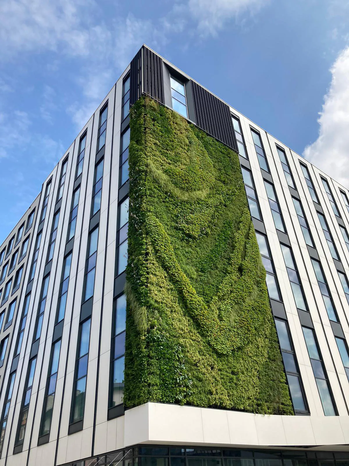 Zielona ściana, ogród wertykalny Hotel Mercure, Katowice