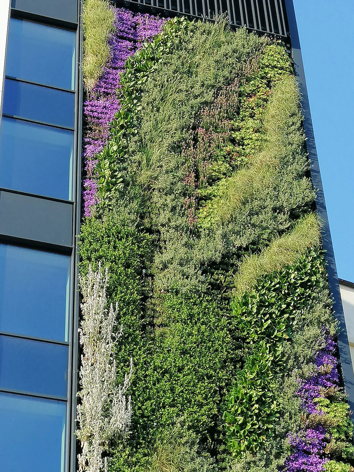 Ogrody wertykalne - hotel Mercure w Katowicach