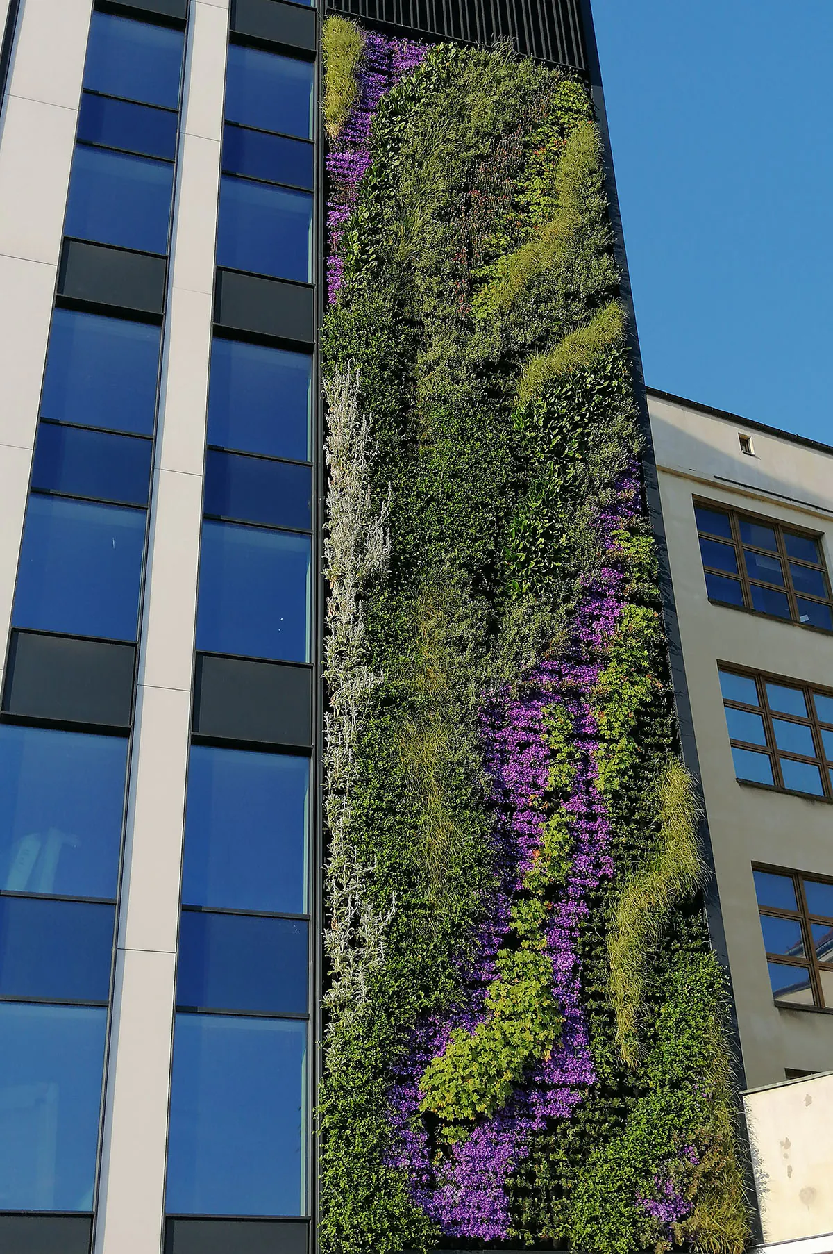 Ogrody wertykalne Hotel Mercure, Katowice