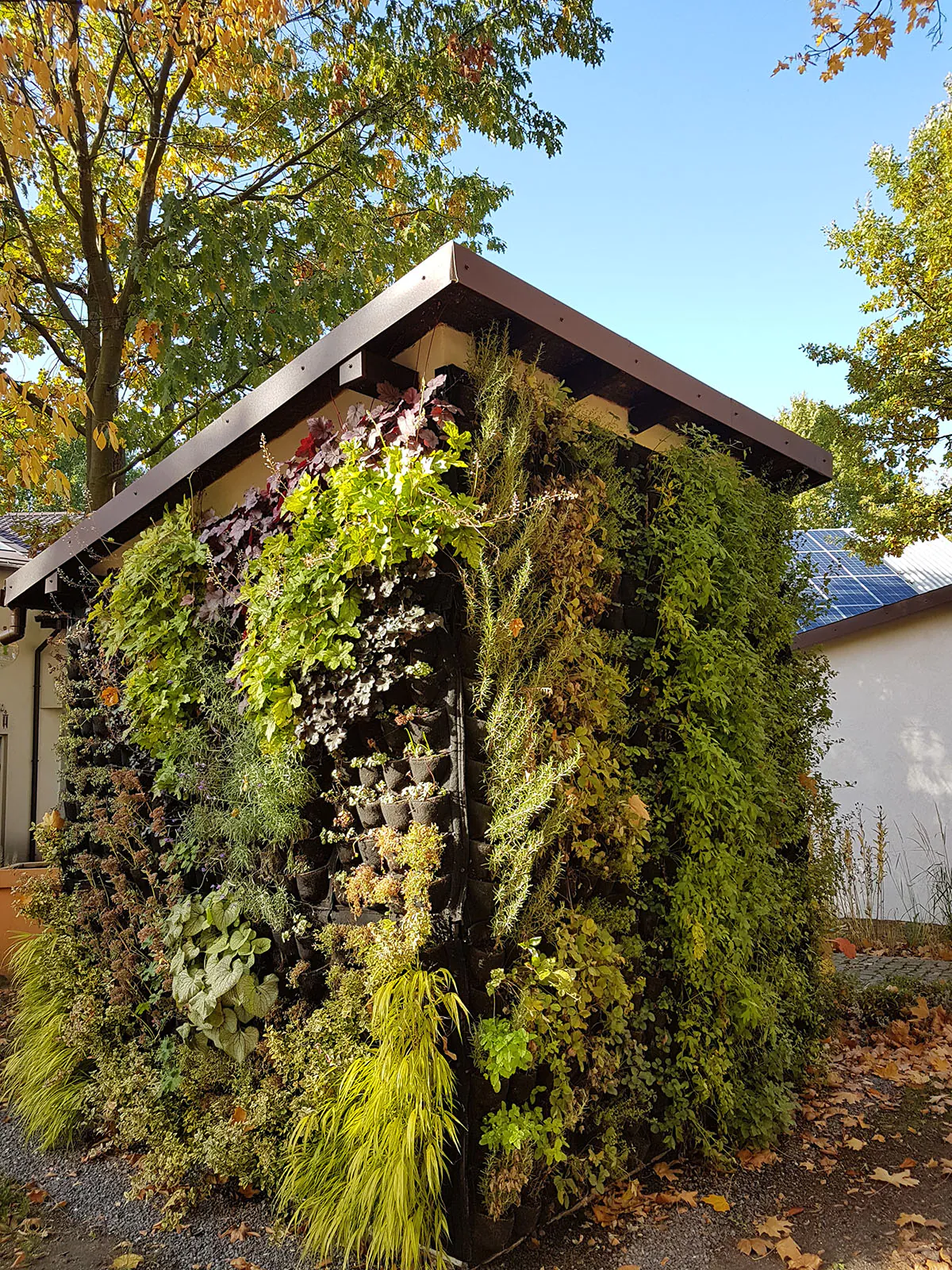 Zielone ściany pod mikroskopem