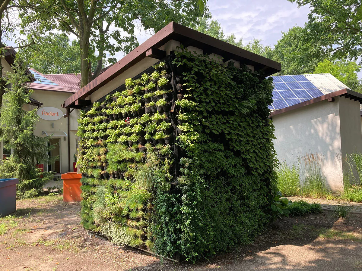 Zielone ściany pod mikroskopem