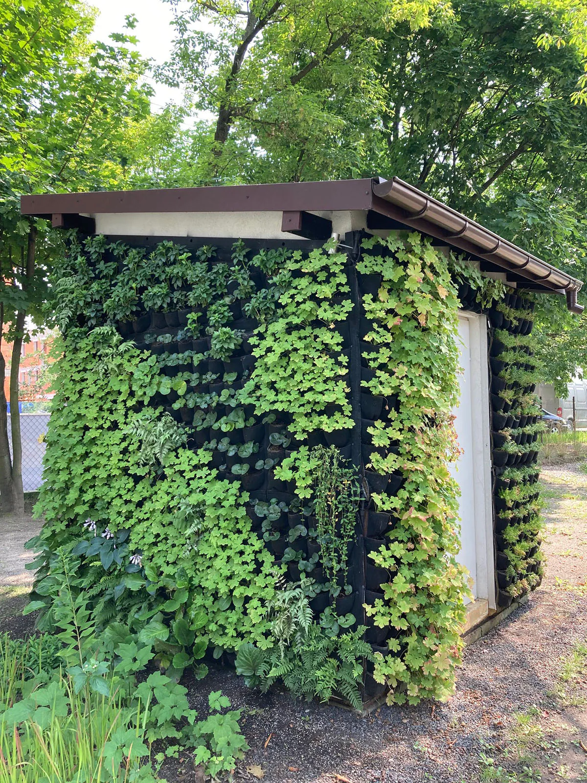 Zielone ściany pod mikroskopem