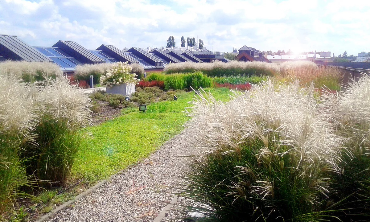 Filter Station Complex