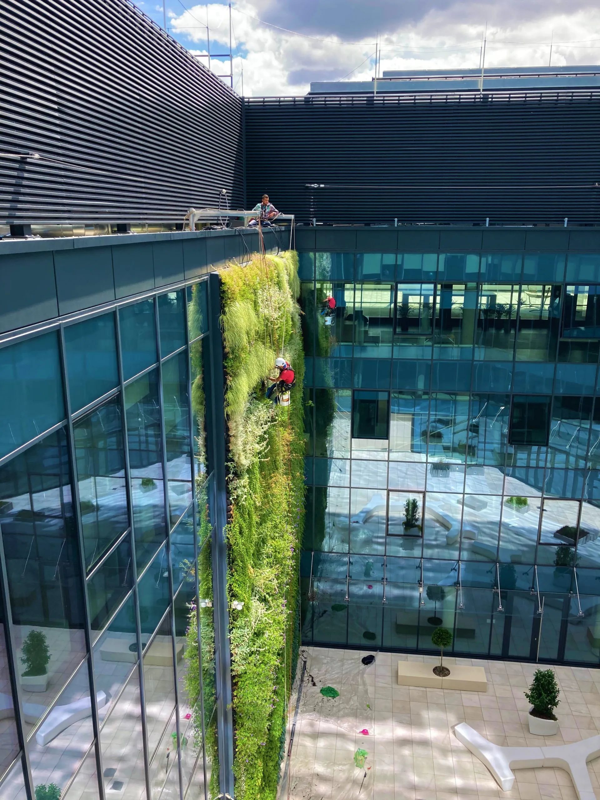 Green wall – POSEJDON