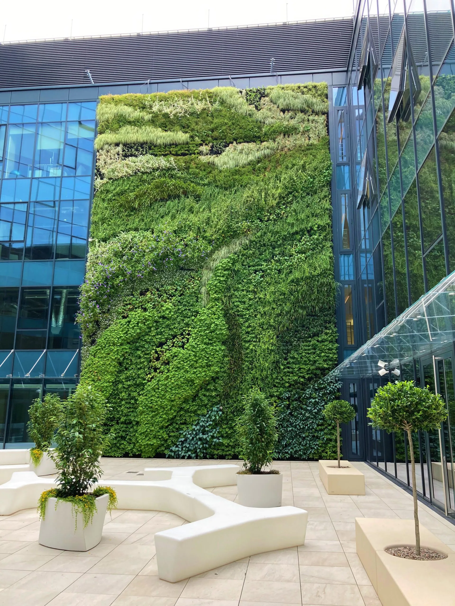 Zielona ściana, ogród na ścianie - budynek Posejdon, Szczecin