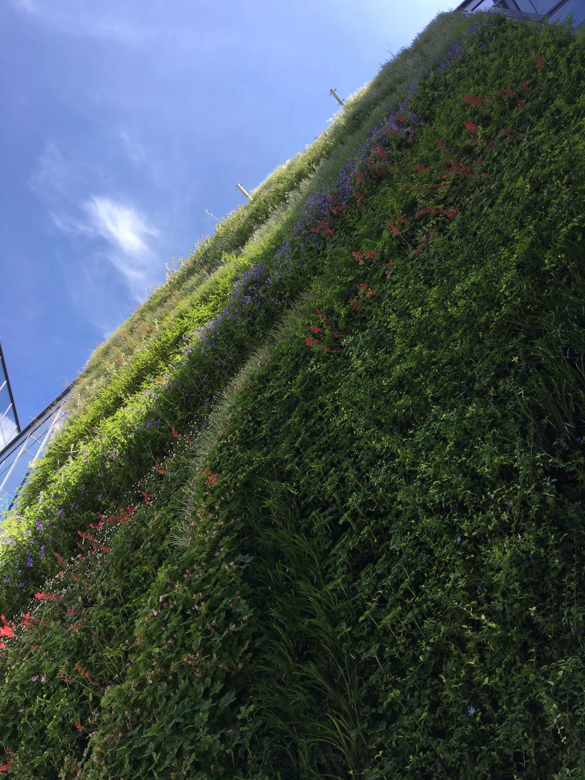 Green wall – POSEJDON
