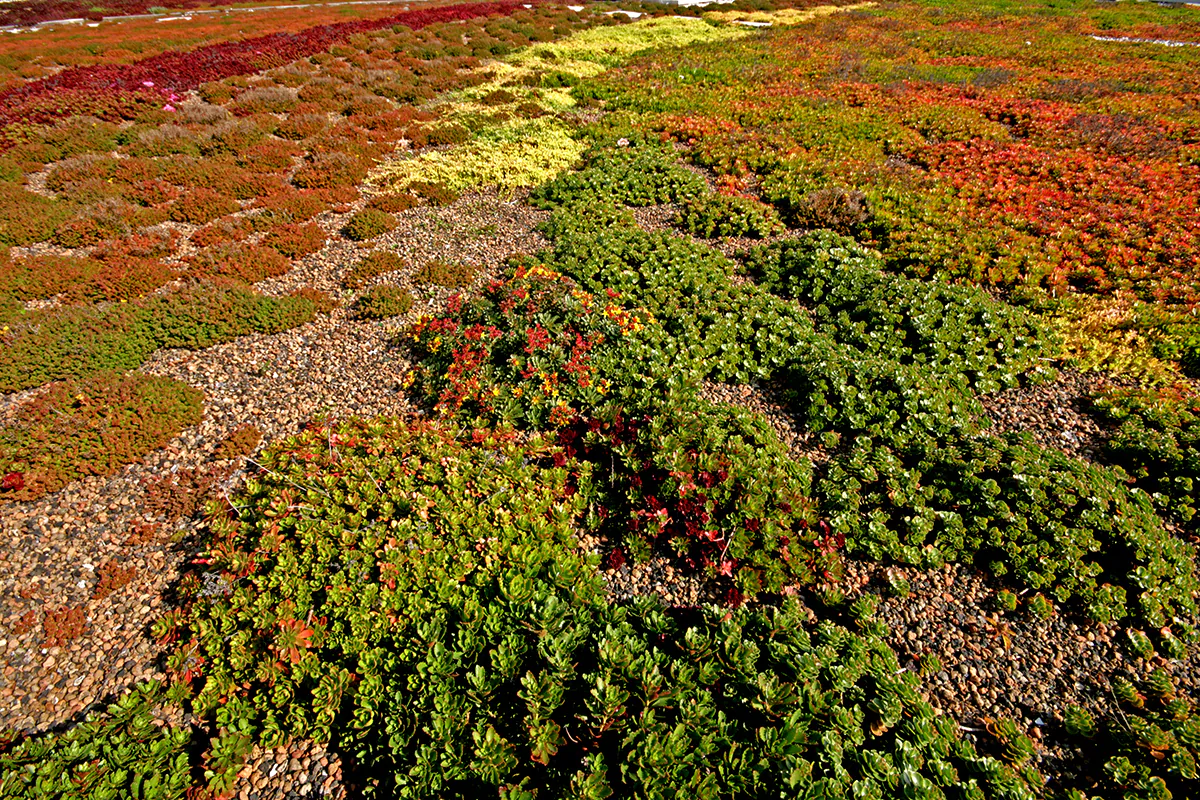 Siedziba Mercedes-Benz Polska