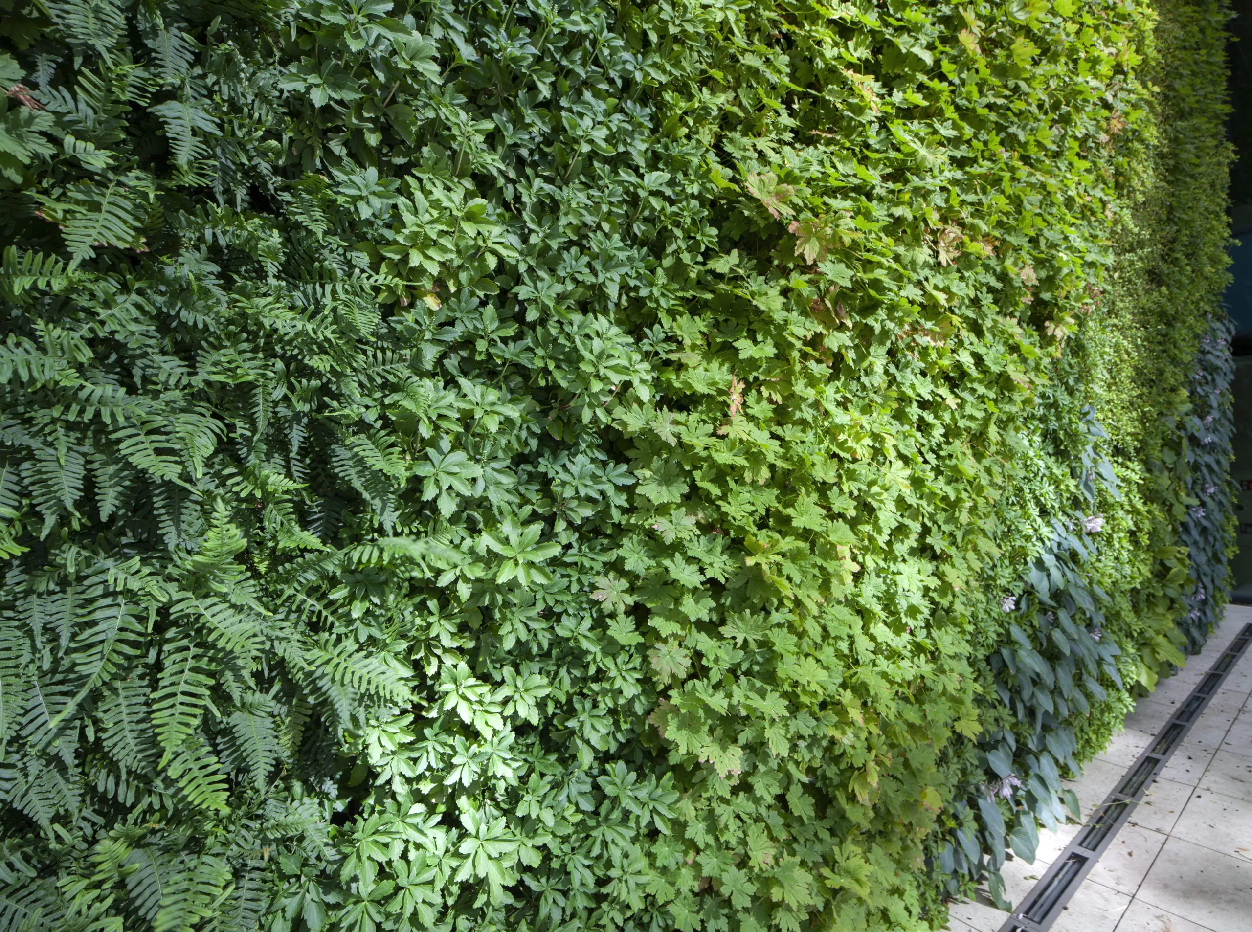 Green wall – POSEJDON