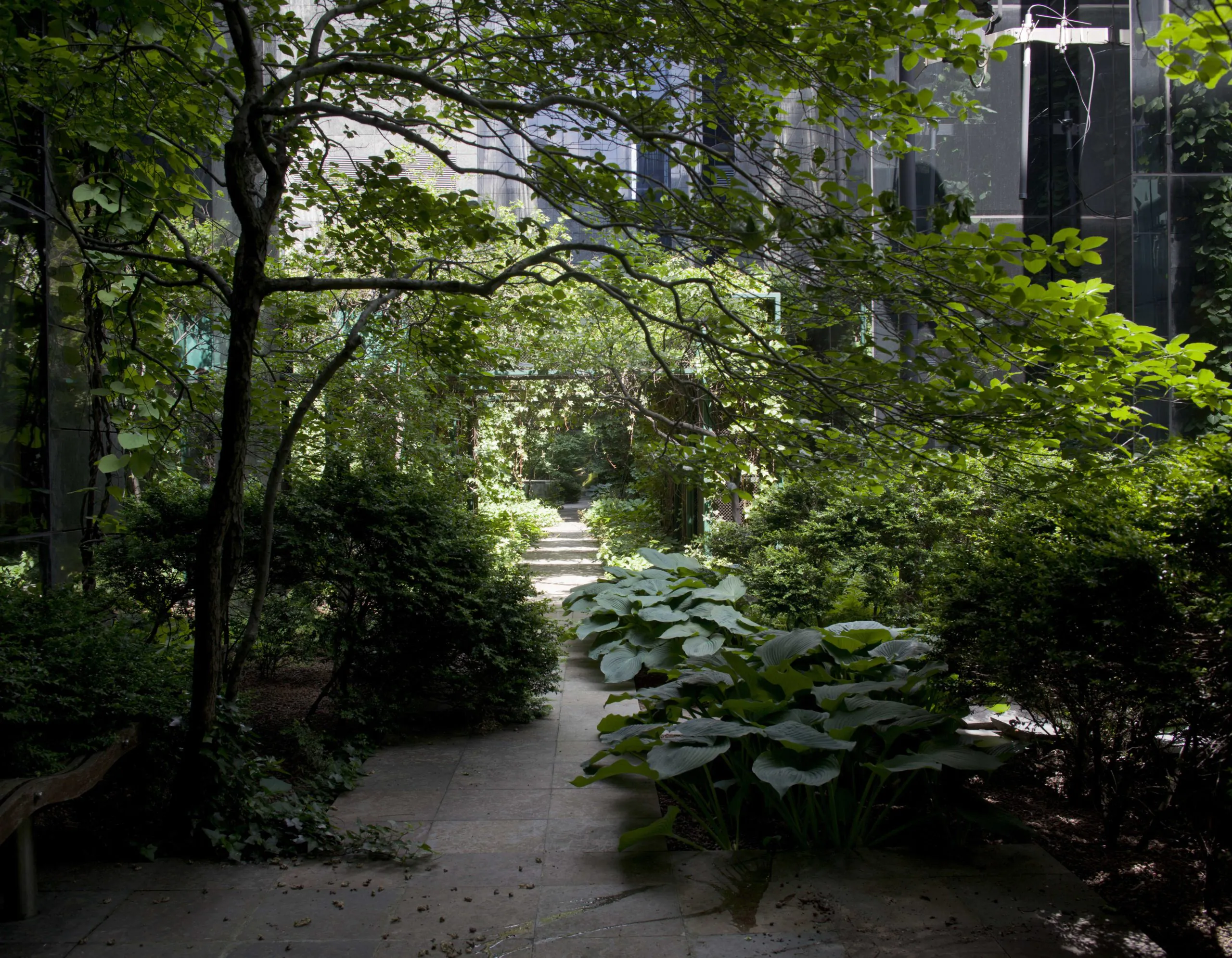 Green roofs – WARTA TOWER