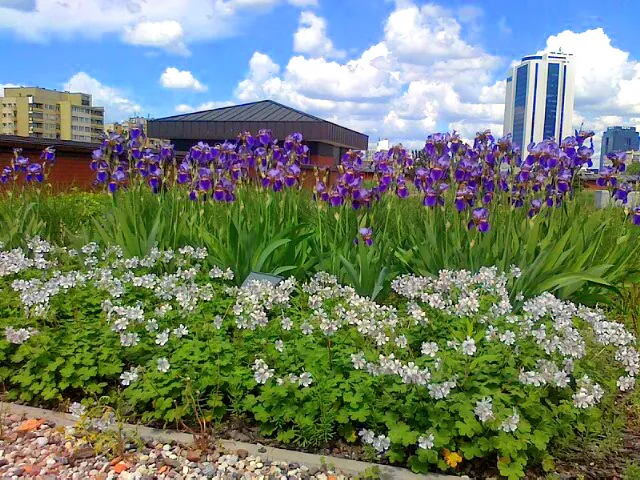 Filter Station Complex