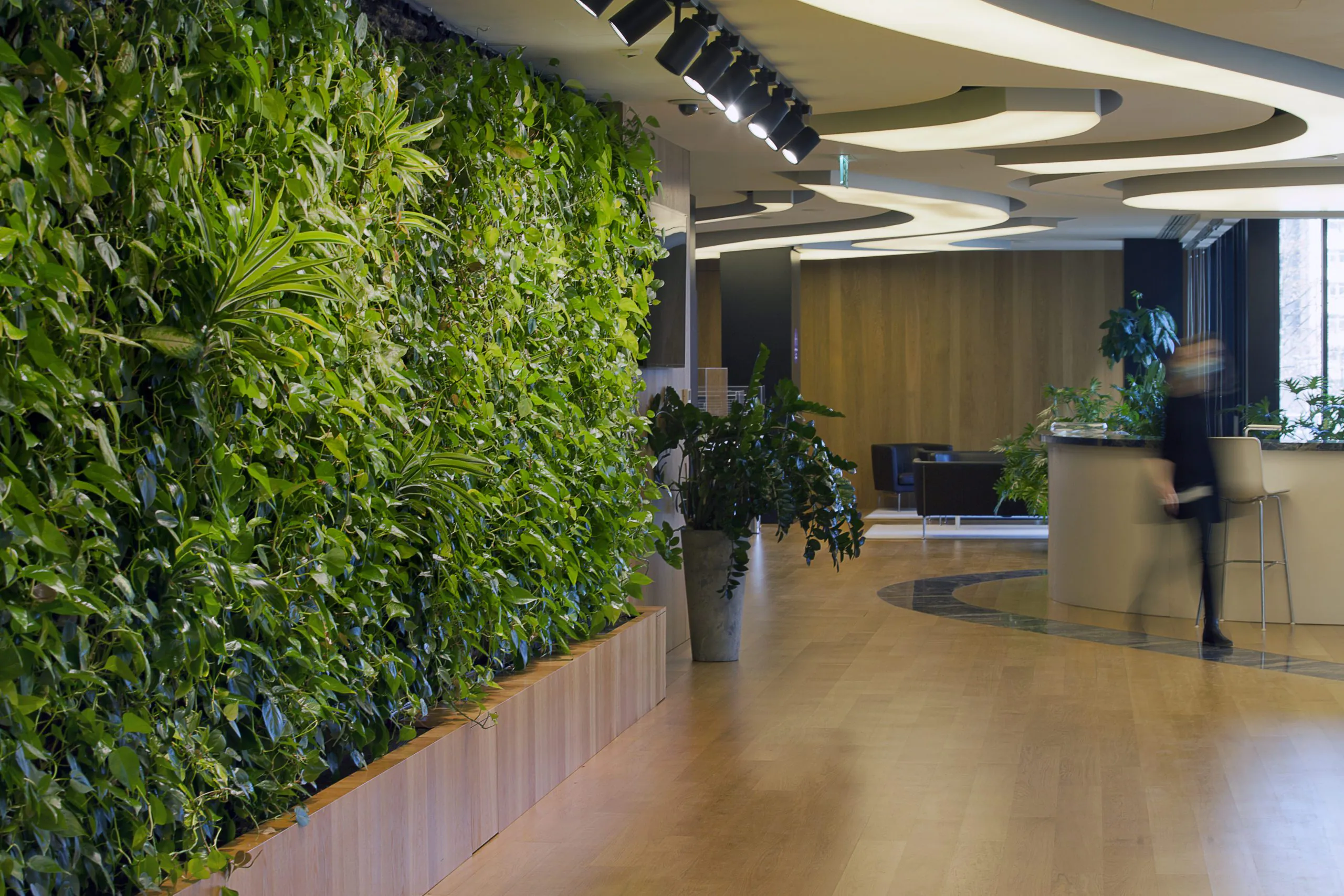 Zielona ściana w biurze HB REAVIS w Warszawie