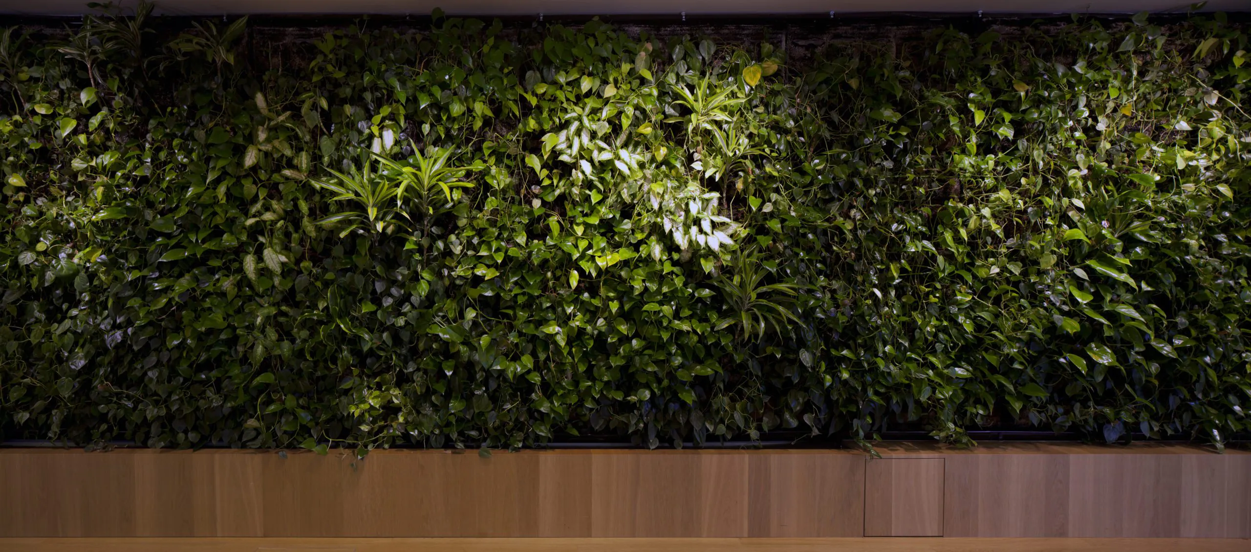 Zielona infrastruktura w biurze HB REAVIS w Warszawie