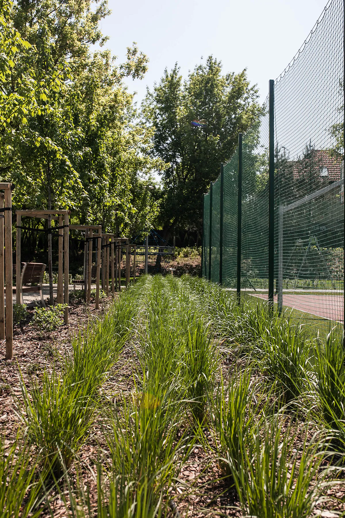 International European School in Warsaw