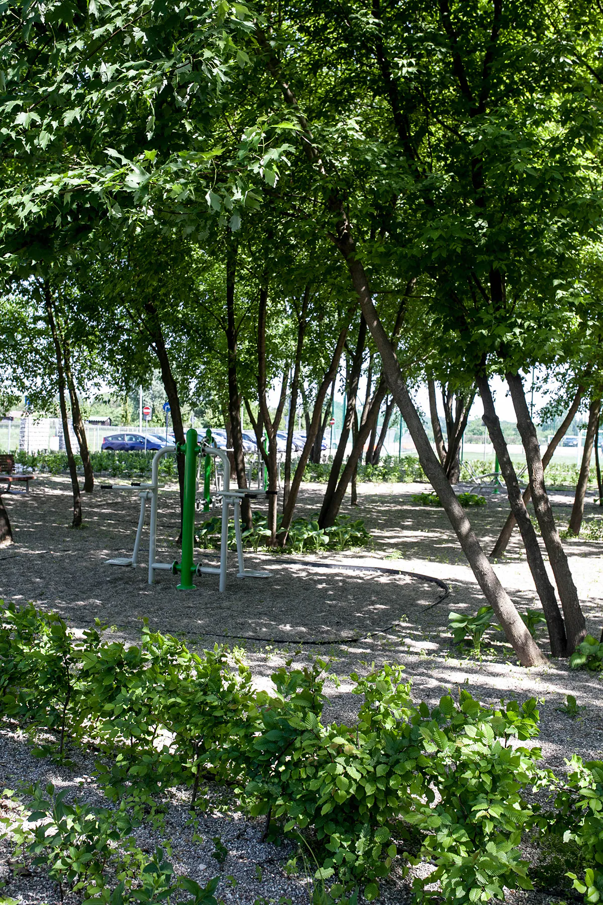 International European School in Warsaw