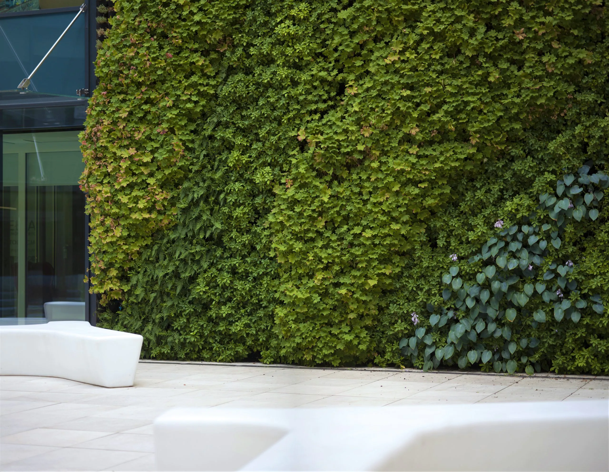 Green wall – POSEJDON