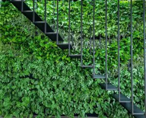 zielona ściana w&nbsp;biurze