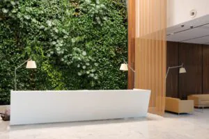 korzyści z&nbsp;zielonej ściany