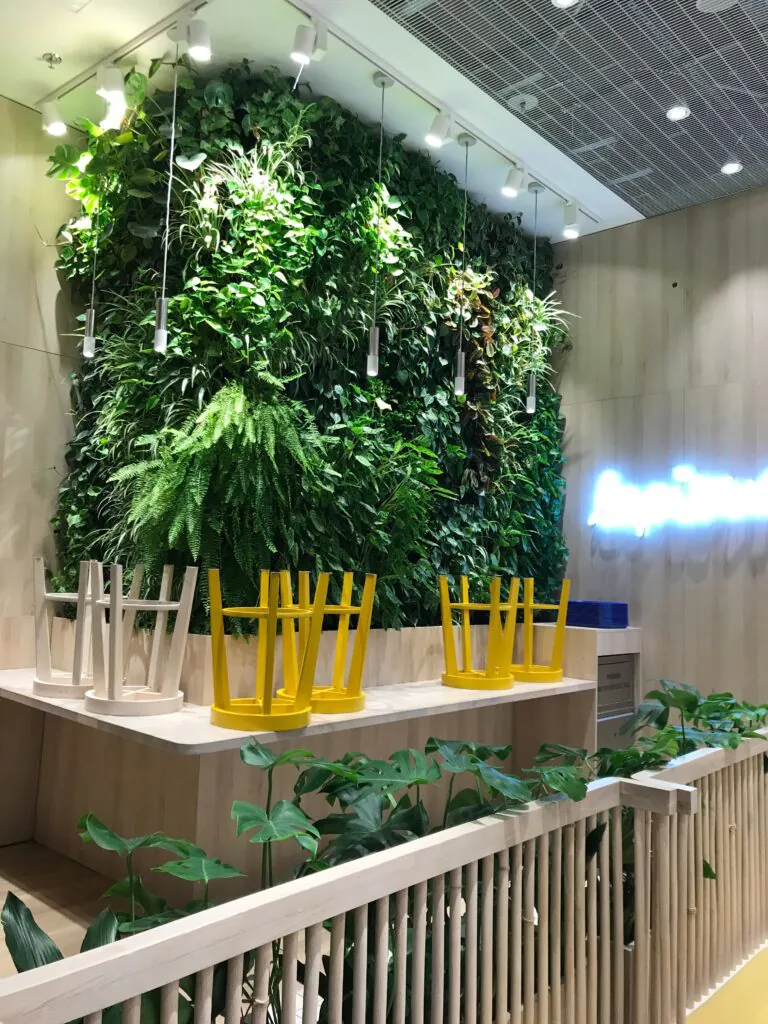 Zielone ściany z&nbsp;roślin w&nbsp;restauracjach