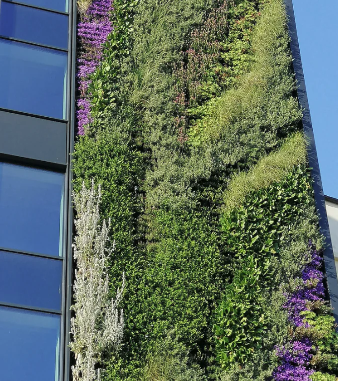 ogród wertykalny hadart