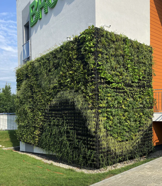 Wpływ ogrodów wertykalnych na&nbsp;produktywność