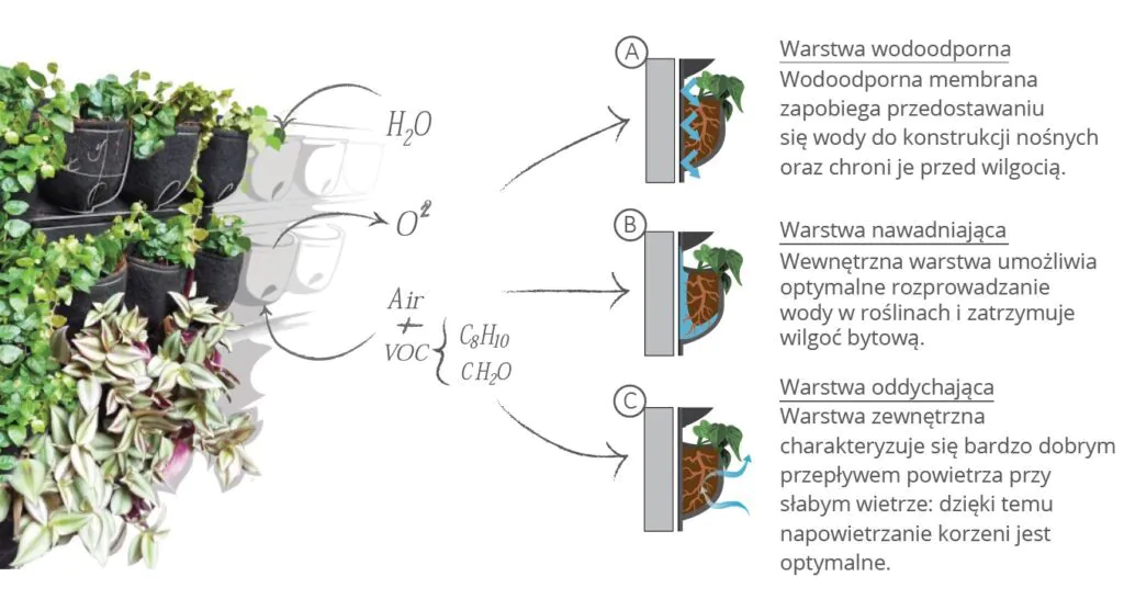 ogrody wertykalne fytotextile