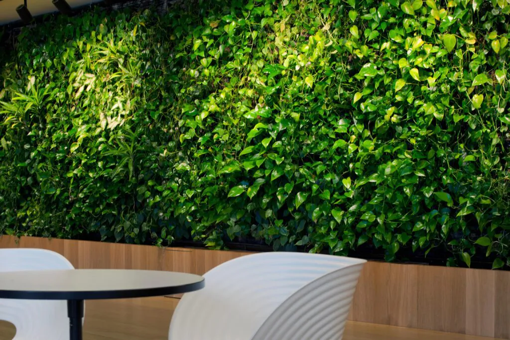 biophilic design od&nbsp;hadart