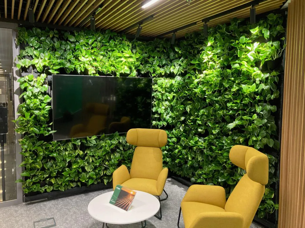 roślinność a&nbsp;wilgotność powietrza