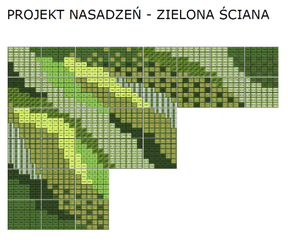 projekt nasadzeń zielona ściana